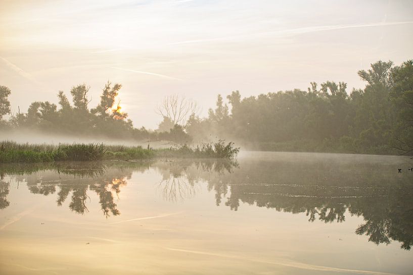 Fog in the Biesbosch. by Kuifje-fotografie