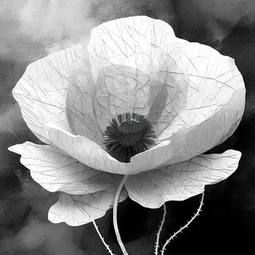 Mohn in Schwarz und Weiß von Pieternel Fotografie en Digitale kunst