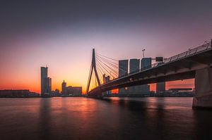 Erasmusbrug Rotterdam 