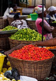 Paprika. von JerrySeshiefotografie