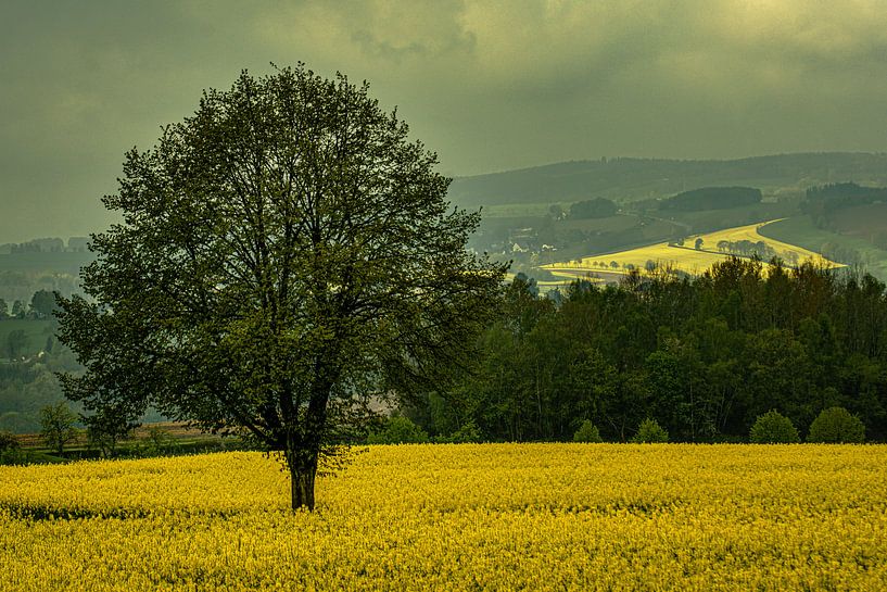 Landschap in het Erzgebergte van Johnny Flash