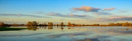 Hochwasser der IJssel mit hohen Wasserständen in den Überschwemmungsgebieten von Sjoerd van der Wal Fotografie