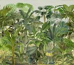 Grüner Tropendschungel von Andrea Haase Miniaturansicht