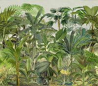 La jungle tropicale verte