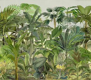 La jungle tropicale verte sur Andrea Haase