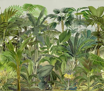 Green tropical jungle by Andrea Haase