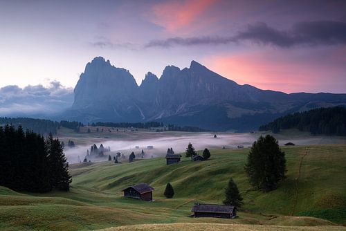 Alpe di Siusi, Dolomieten, Italië