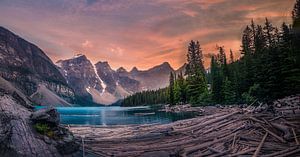 Bois flotté dans le lac de montagne sur Dennis Werkman