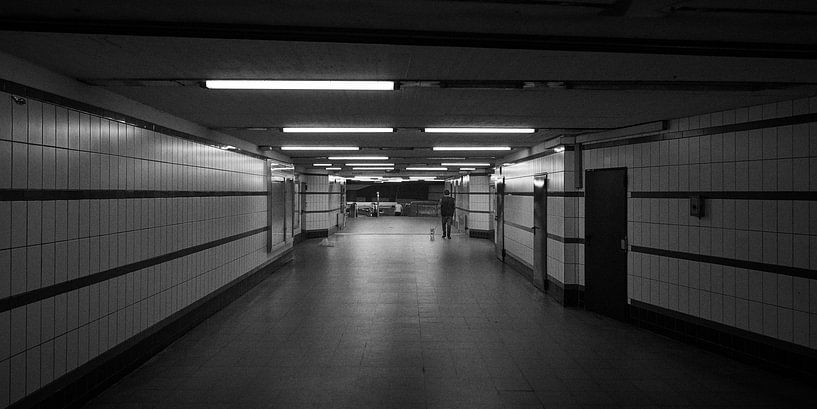 Un homme avec un chien dans le métro de Hambourg par Jenco van Zalk