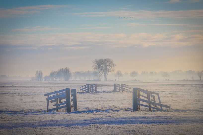 Hollands Polderlandschap van Original Mostert Photography