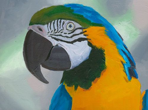 Peinture d'ara