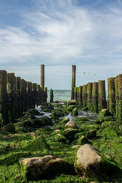 Meer von Renate Weekhout