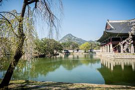 Gyeongbokgung palace van Jac Nooijens