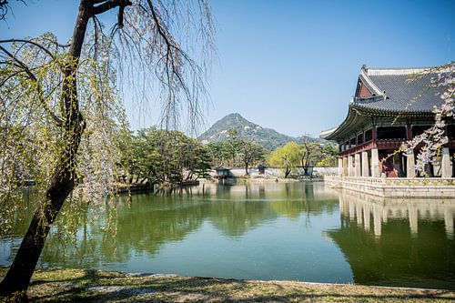 Le palais de Gyeongbokgung