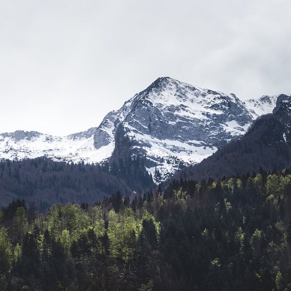 Winter und Frühling - grüne Bäume und schneebedeckte Berge von Patrik Lovrin