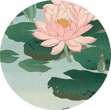 Flowering Water Lily, Ohara Koson