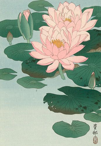 Flowering Water Lily, Ohara Koson