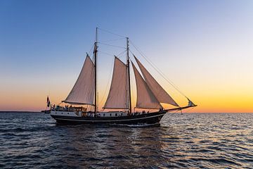 Sailing ship in the sunset at the Hanse Sail in Rostock