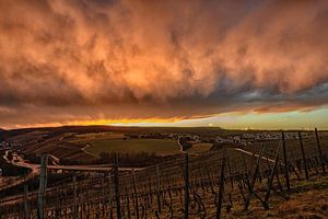 dramatic sunset in the vineyards van Heinz Grates