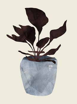 Land Plant