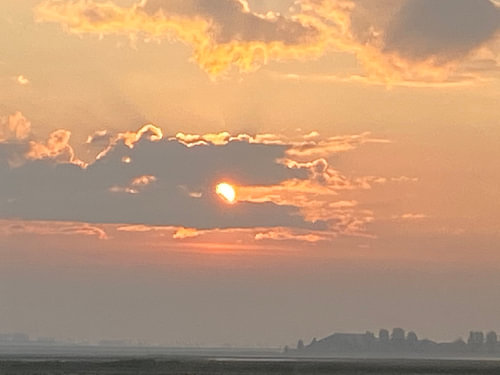 Sun in the morning
