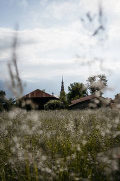 Combloux | Tirage photo de voyage Alpes France Art Print sur Chriske Heus van Barneveld