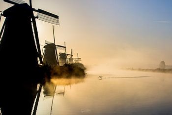 Taking flight at Kinderdijk