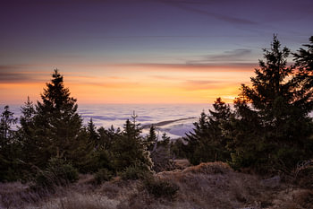 Mein schöner Harz