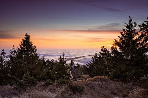My beautiful Harz Mountains
