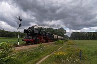 VSM 50-3654 Loenen