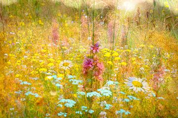 Wilde bloemenveld van Corinne Welp