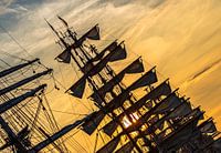 Sail Amsterdam 2015