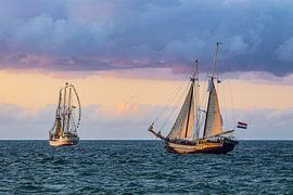 Segelschiffe auf der Ostsee in Warnemünde während der Hanse Sa von Rico Ködder
