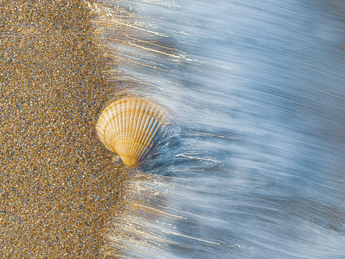 Strand Noordwijk. A Touch of Surf