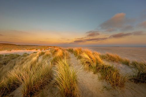 Flutlicht in den Dünen