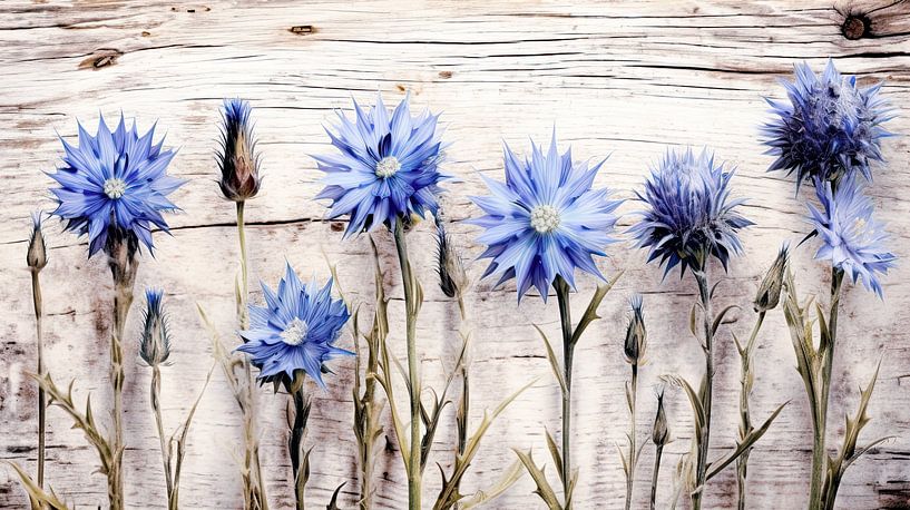 Rustiek korenbloem stilleven van Vlindertuin-Art
