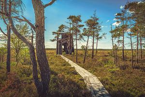 Horsnäsamossen, réserve naturelle [I]