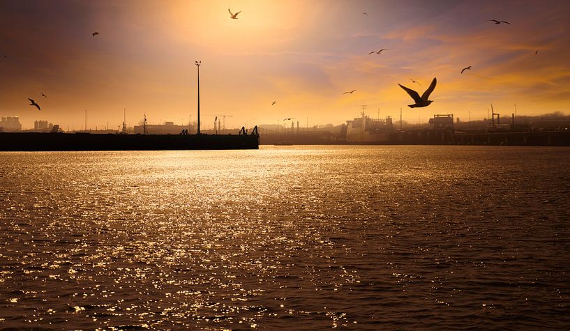 0777 Evening in the Harbour van Adrien Hendrickx