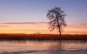 Sonnenaufgang am Zuidlaardermeer