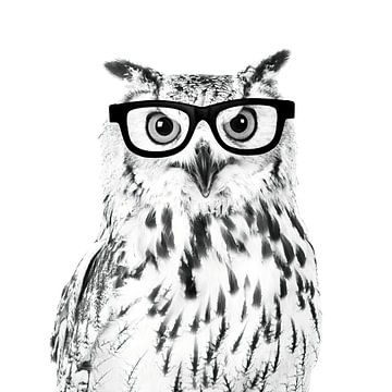 Weisheit, eine Eule mit Brille von Elles Rijsdijk