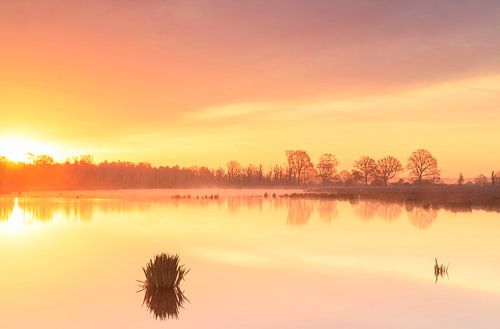 Fochteloërveen - Drenthe (Netherlands)