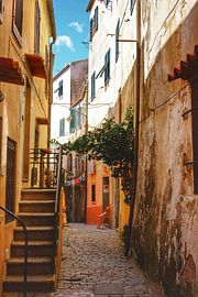 Alley in Capoliveri by Keywan Salehi