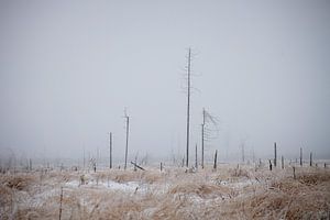 Winterspaß im Hohen Venn
