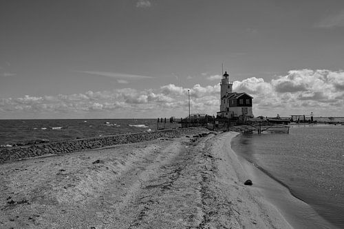 Paard van Marken