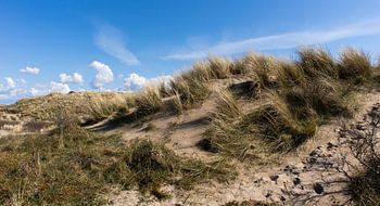 Duine in Holland