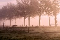Horse in the fog by Ellen Gerrits thumbnail