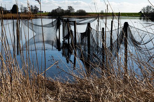 landschap 1