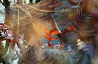 Young purple shoot by Christine GUILLET thumbnail