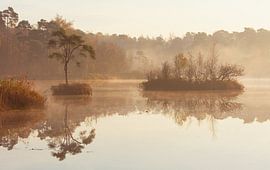 Voorste Goorven Oisterwijk I von Ronne Vinkx