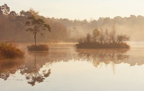 Voorste Goorven Oisterwijk I